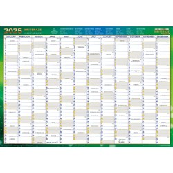 Collins Writeraze Dated Wall Planner 500 x 700mm Recycled Green